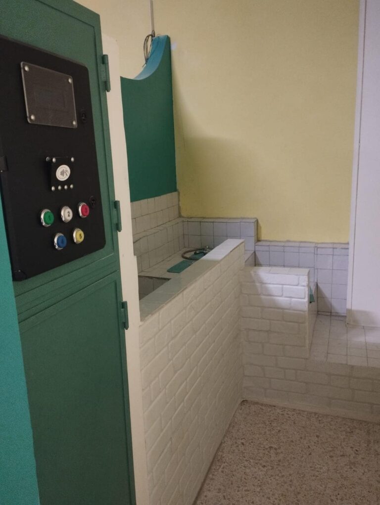 471268526_122100967094695436_5298700355756595534_n self wash dog